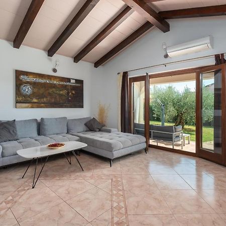 Villa Lucas Novigrad Istria Exterior foto